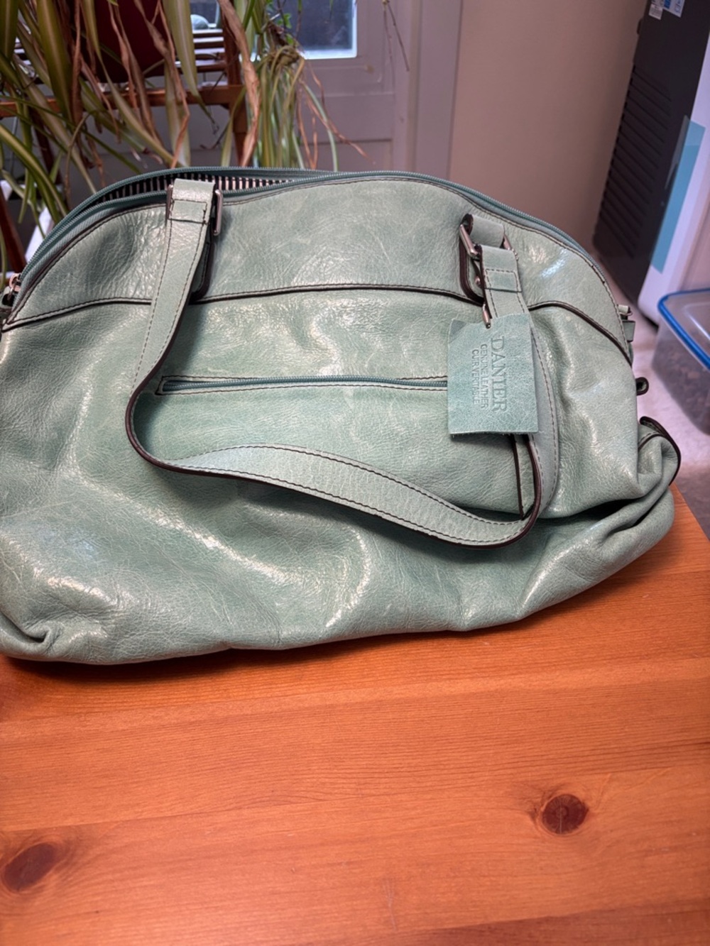 Danier Mint Green Leather Shoulder Bag